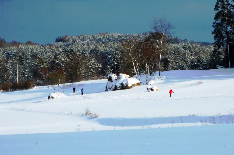 Langlaufen auf der Golfplatzloipe