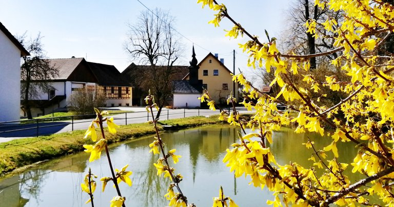 Grossansicht in neuem Fenster: Haßlach